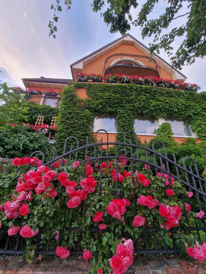 Villa Victoria Łeba Exterior foto